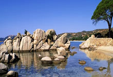 沃尔沃EX30 Cross Country，极氪X同平台